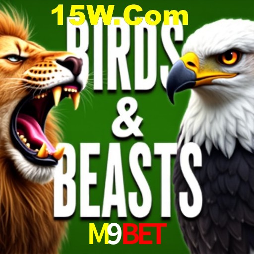 A Experiência Imersiva dos Cassinos Ao Vivo no M9Bet