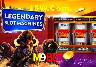 M9Bet - User Statistics